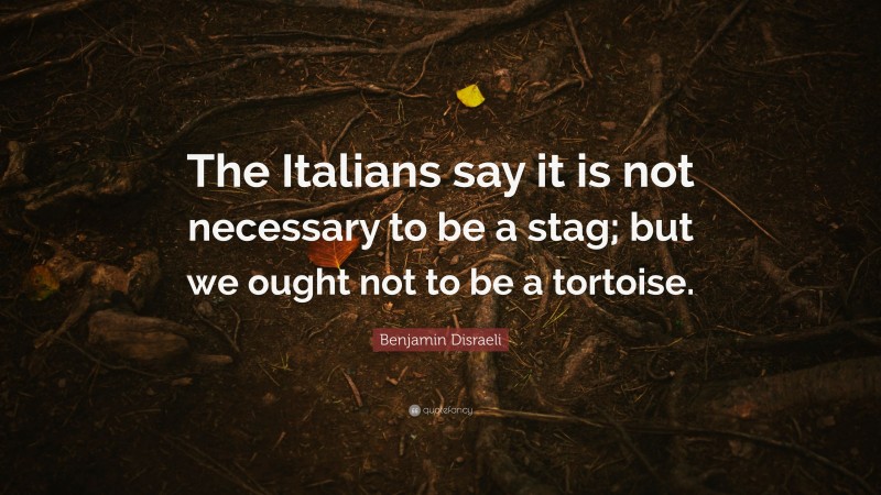 Benjamin Disraeli Quote: “The Italians say it is not necessary to be a stag; but we ought not to be a tortoise.”