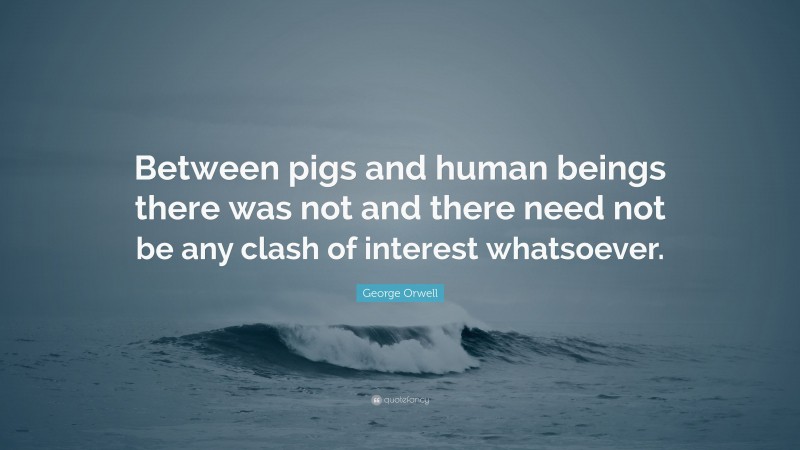 George Orwell Quote: “Between pigs and human beings there was not and there need not be any clash of interest whatsoever.”