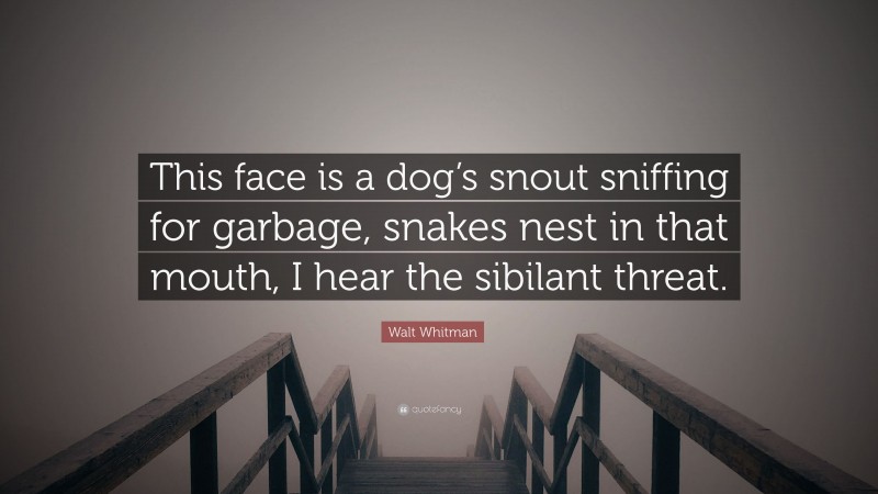 Walt Whitman Quote: “This face is a dog’s snout sniffing for garbage, snakes nest in that mouth, I hear the sibilant threat.”