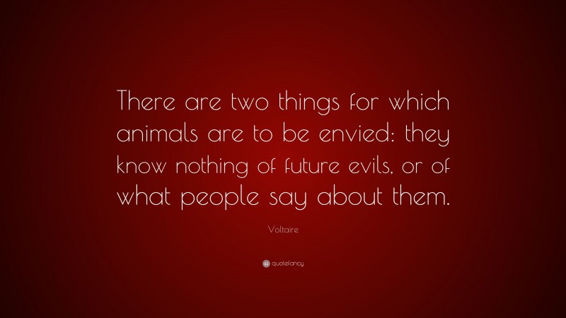 Voltaire Quote: “There are two things for which animals are to be envied: they know nothing of future evils, or of what people say about them.”
