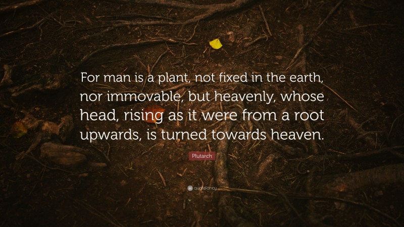 Plutarch Quote: “For man is a plant, not fixed in the earth, nor immovable, but heavenly, whose head, rising as it were from a root upwards, is turned towards heaven.”