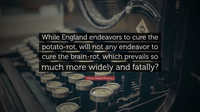 Henry David Thoreau Quote: “While England endeavors to cure the potato-rot, will not any endeavor to cure the brain-rot, which prevails so much more widely and fatally?”