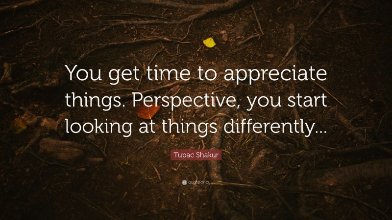 Tupac Shakur Quote: “You get time to appreciate things. Perspective, you start looking at things differently...”