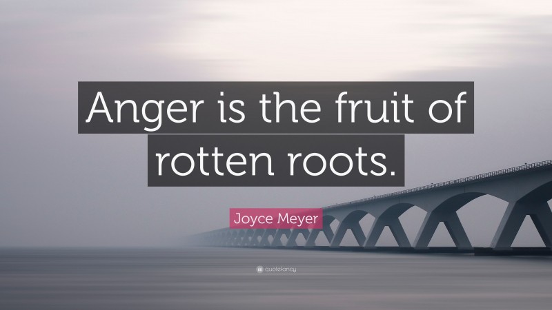 Joyce Meyer Quote: “Anger is the fruit of rotten roots.”