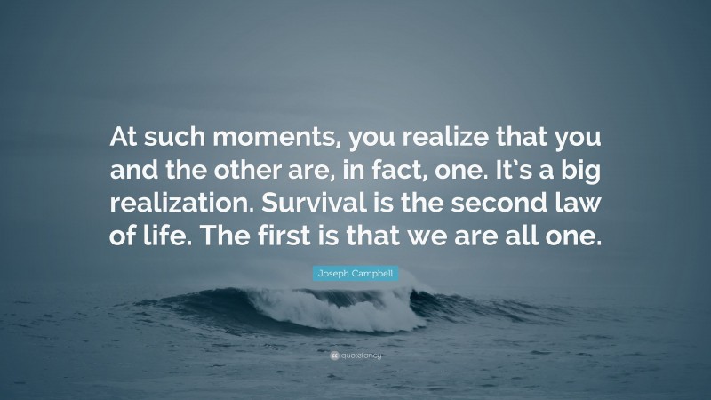 Joseph Campbell Quote: “At such moments, you realize that you and the other are, in fact, one. It’s a big realization. Survival is the second law of life. The first is that we are all one.”