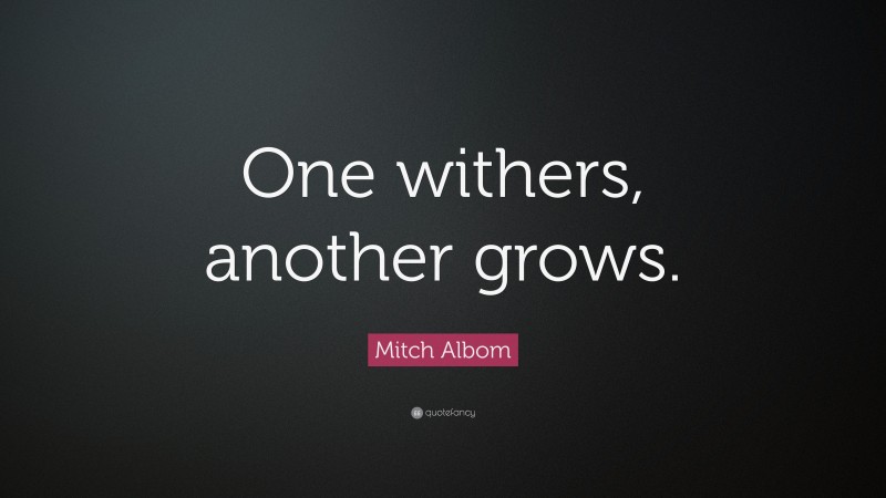 Mitch Albom Quote: “One withers, another grows.”