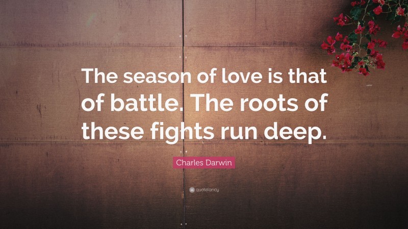 Charles Darwin Quote: “The season of love is that of battle. The roots of these fights run deep.”