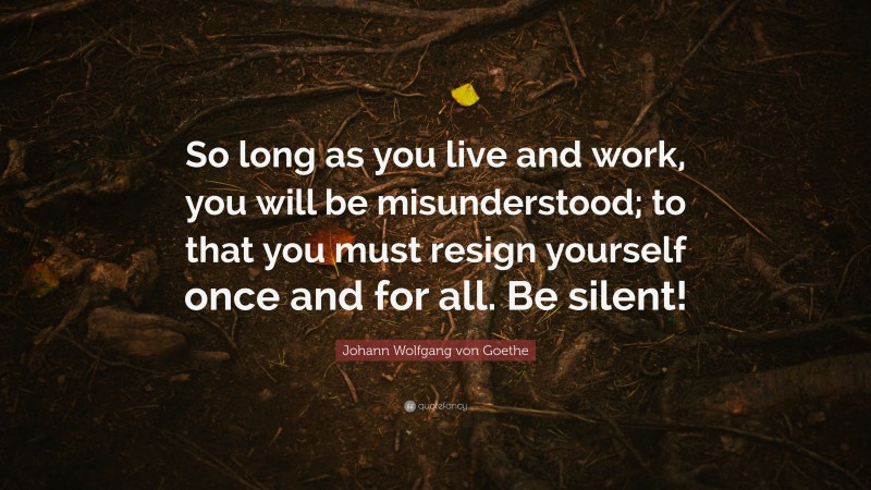 Johann Wolfgang von Goethe Quote: “So long as you live and work, you will be misunderstood; to that you must resign yourself once and for all. Be silent!”