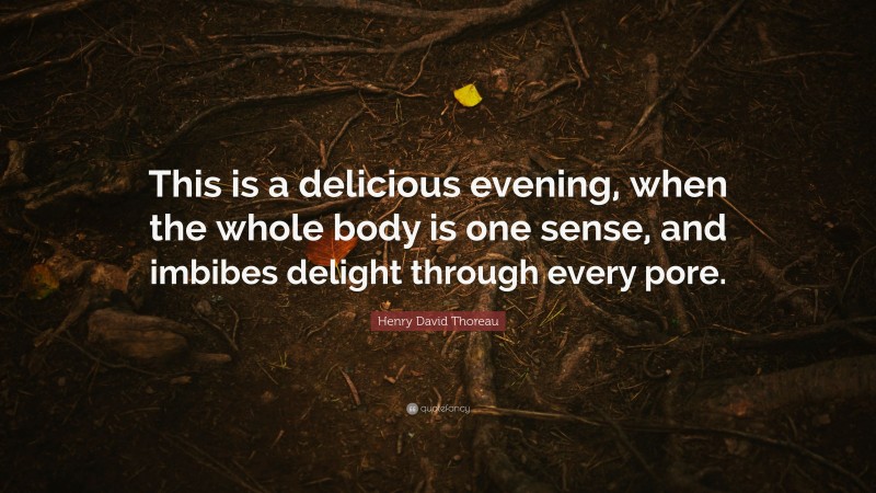 Henry David Thoreau Quote: “This is a delicious evening, when the whole body is one sense, and imbibes delight through every pore.”