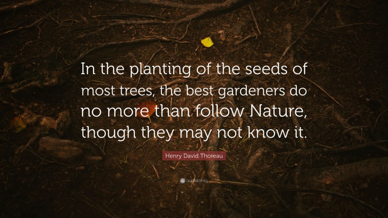 Henry David Thoreau Quote: “In the planting of the seeds of most trees, the best gardeners do no more than follow Nature, though they may not know it.”