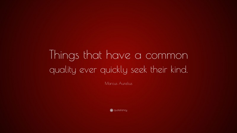 Marcus Aurelius Quote: “Things that have a common quality ever quickly seek their kind.”
