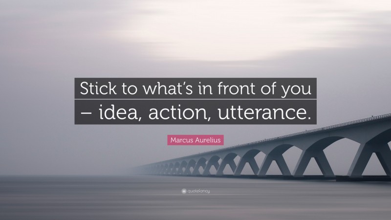 Marcus Aurelius Quote: “Stick to what’s in front of you – idea, action, utterance.”