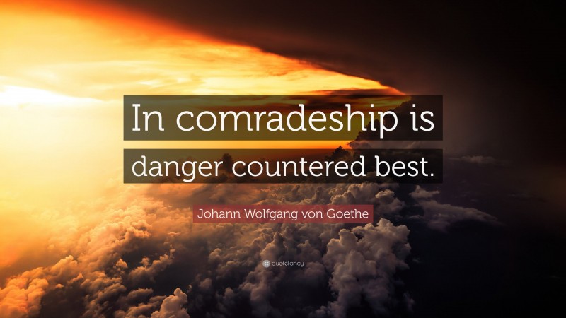 Johann Wolfgang von Goethe Quote: “In comradeship is danger countered best.”