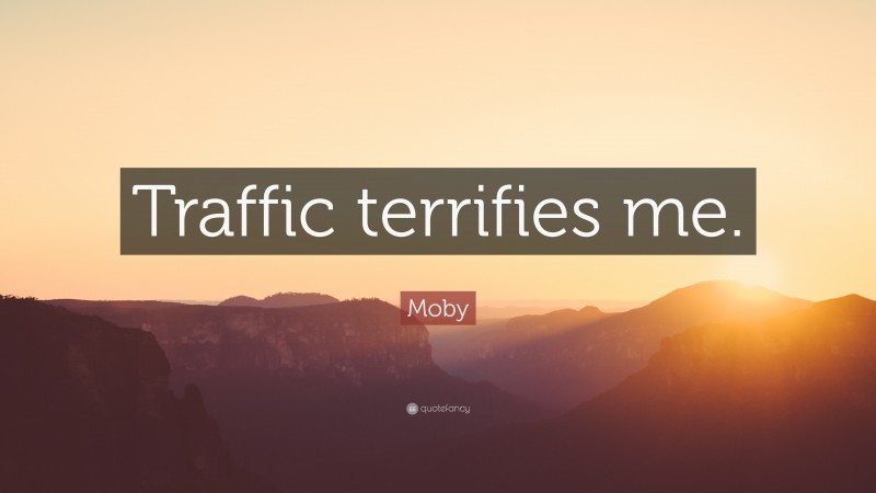 Moby Quote: “Traffic terrifies me.”