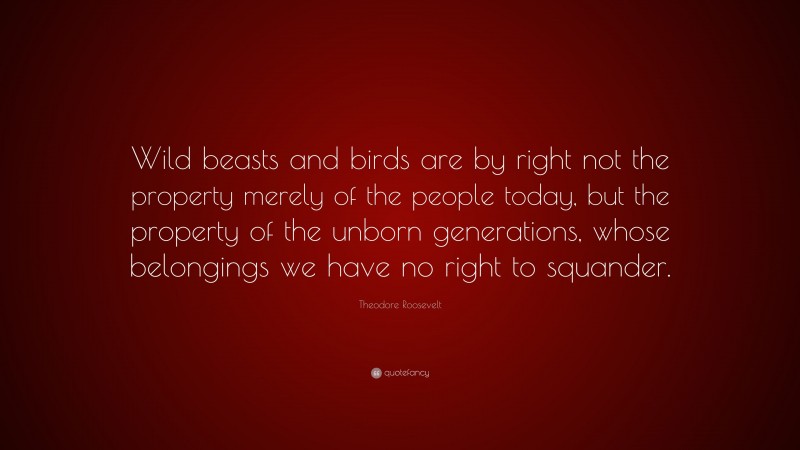 Theodore Roosevelt Quote: “Wild beasts and birds are by right not the property merely of the people today, but the property of the unborn generations, whose belongings we have no right to squander.”