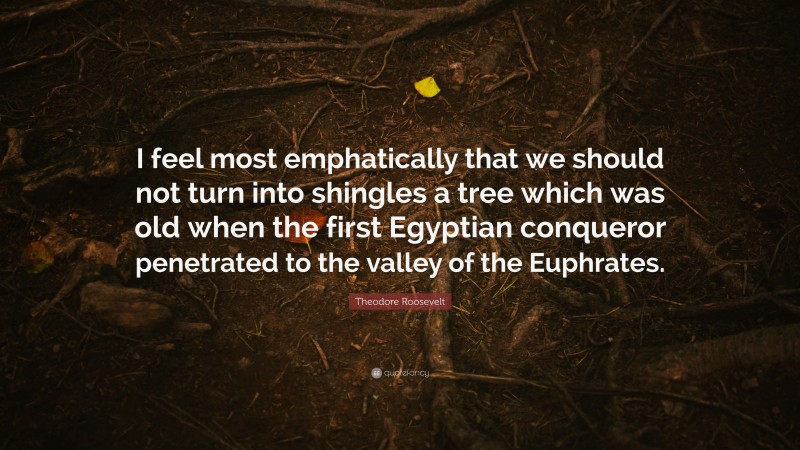 Theodore Roosevelt Quote: “I feel most emphatically that we should not turn into shingles a tree which was old when the first Egyptian conqueror penetrated to the valley of the Euphrates.”