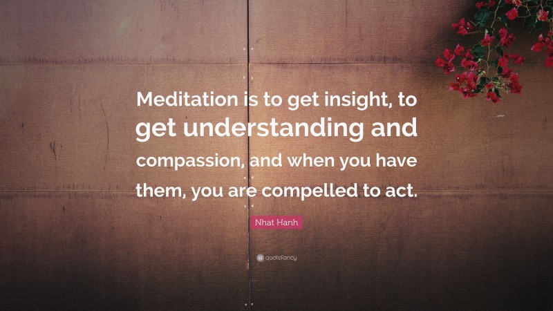 Nhat Hanh Quote: “Meditation is to get insight, to get understanding and compassion, and when you have them, you are compelled to act.”