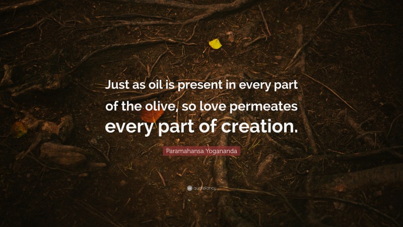 Paramahansa Yogananda Quote: “Just as oil is present in every part of the olive, so love permeates every part of creation.”