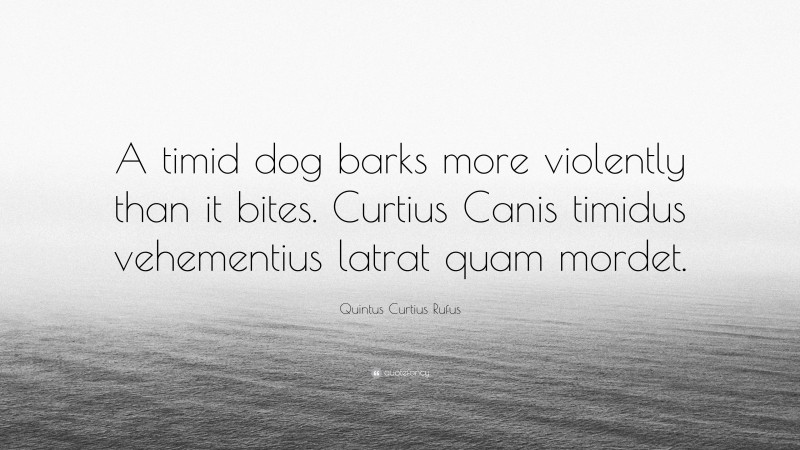 Quintus Curtius Rufus Quote: “A timid dog barks more violently than it bites. Curtius Canis timidus vehementius latrat quam mordet.”