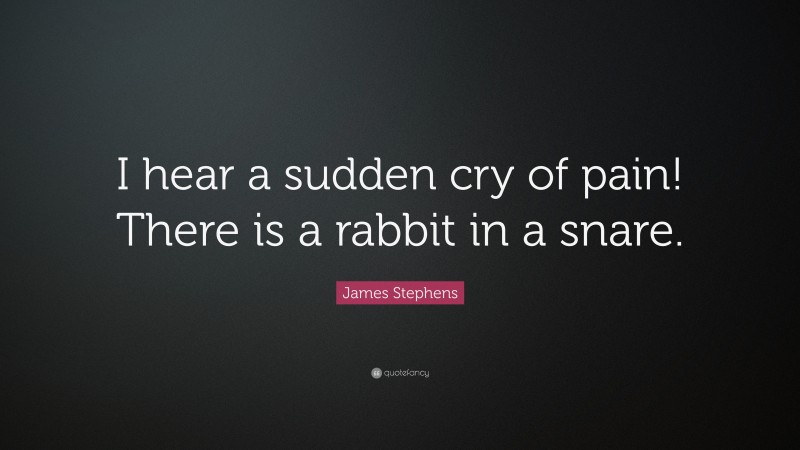 James Stephens Quote: “I hear a sudden cry of pain! There is a rabbit in a snare.”