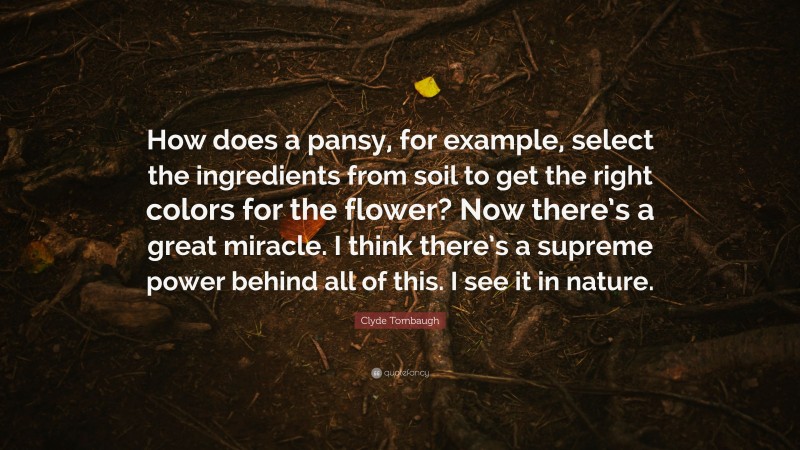 Clyde Tombaugh Quote: “How does a pansy, for example, select the ingredients from soil to get the right colors for the flower? Now there’s a great miracle. I think there’s a supreme power behind all of this. I see it in nature.”