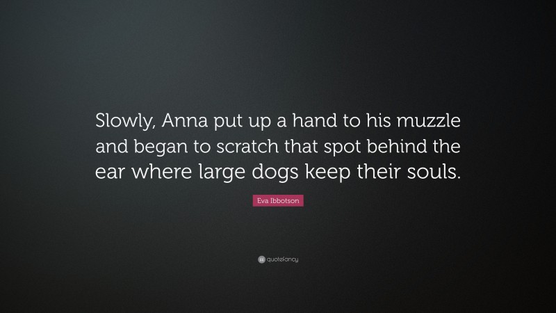 Eva Ibbotson Quote: “Slowly, Anna put up a hand to his muzzle and began to scratch that spot behind the ear where large dogs keep their souls.”