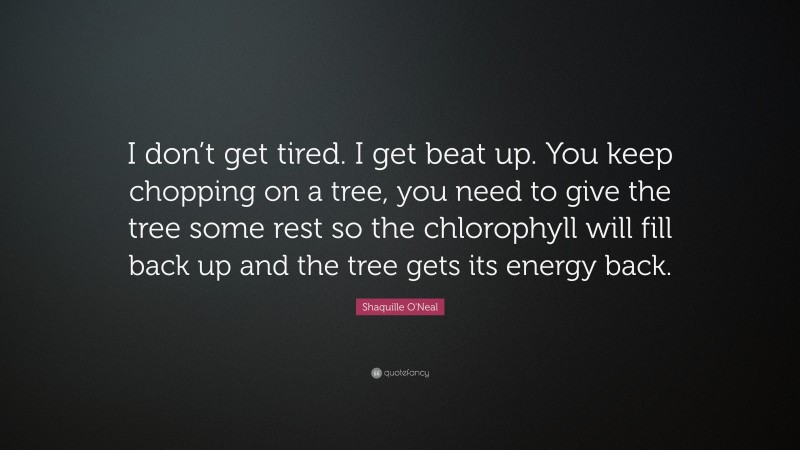 Shaquille O'Neal Quote: “I don’t get tired. I get beat up. You keep chopping on a tree, you need to give the tree some rest so the chlorophyll will fill back up and the tree gets its energy back.”
