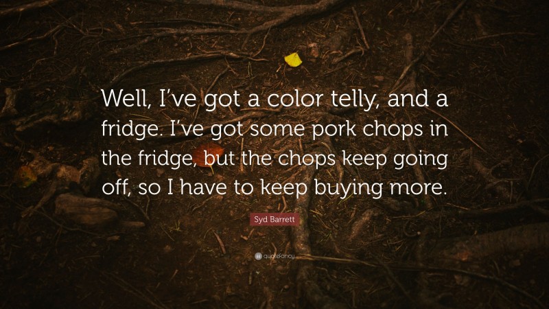 Syd Barrett Quote: “Well, I’ve got a color telly, and a fridge. I’ve got some pork chops in the fridge, but the chops keep going off, so I have to keep buying more.”