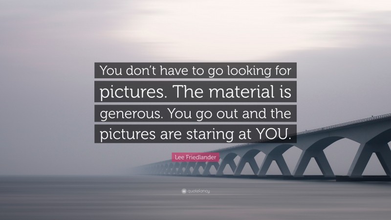 Lee Friedlander Quote: “You don’t have to go looking for pictures. The material is generous. You go out and the pictures are staring at YOU.”