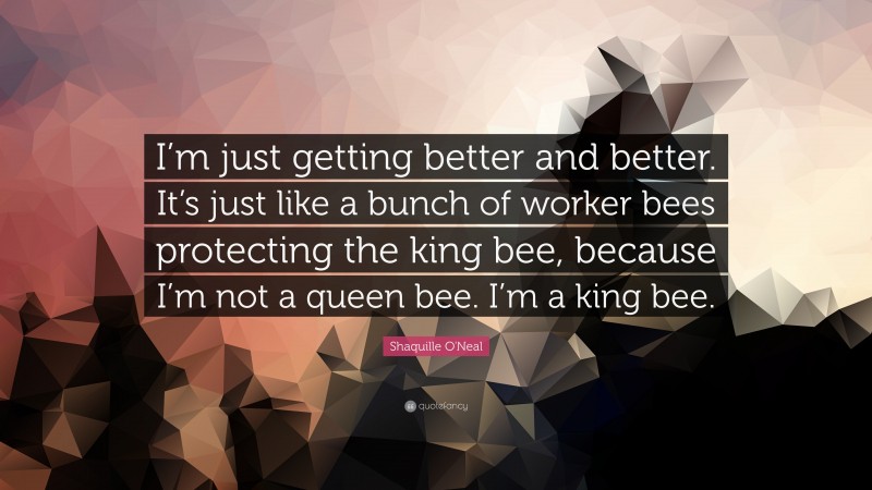 Shaquille O'Neal Quote: “I’m just getting better and better. It’s just like a bunch of worker bees protecting the king bee, because I’m not a queen bee. I’m a king bee.”