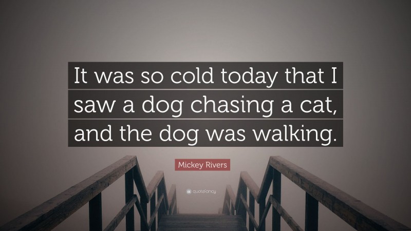 Mickey Rivers Quote: “It was so cold today that I saw a dog chasing a cat, and the dog was walking.”