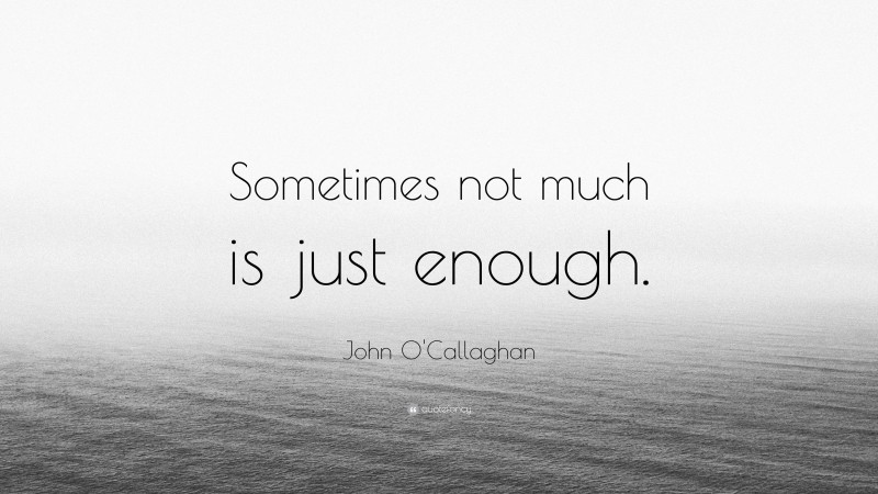 John O'Callaghan Quote: “Sometimes not much is just enough.”
