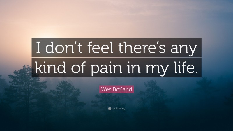 Wes Borland Quote: “I don’t feel there’s any kind of pain in my life.”