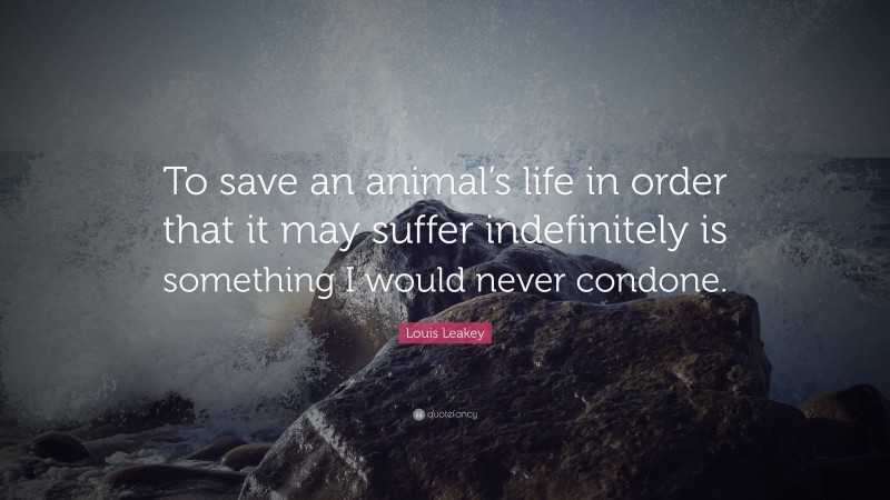 Louis Leakey Quote: “To save an animal’s life in order that it may suffer indefinitely is something I would never condone.”