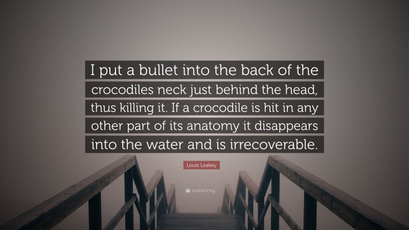Louis Leakey Quote: “I put a bullet into the back of the crocodiles neck just behind the head, thus killing it. If a crocodile is hit in any other part of its anatomy it disappears into the water and is irrecoverable.”