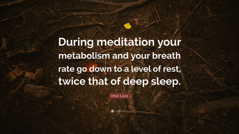 Mike Love Quote: “During meditation your metabolism and your breath rate go down to a level of rest, twice that of deep sleep.”