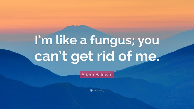 Adam Baldwin Quote: “I’m like a fungus; you can’t get rid of me.”
