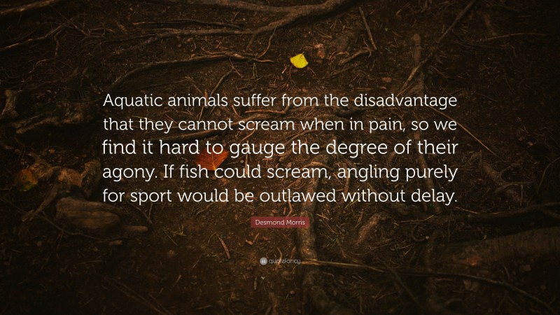 Desmond Morris Quote: “Aquatic animals suffer from the disadvantage that they cannot scream when in pain, so we find it hard to gauge the degree of their agony. If fish could scream, angling purely for sport would be outlawed without delay.”