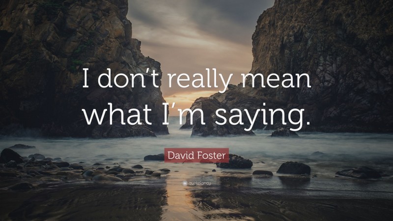 David Foster Quote: “I don’t really mean what I’m saying.”