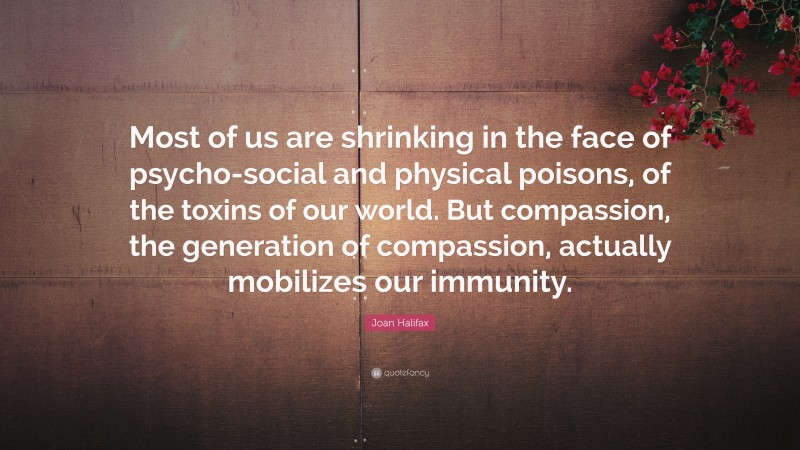 Joan Halifax Quote: “Most of us are shrinking in the face of psycho-social and physical poisons, of the toxins of our world. But compassion, the generation of compassion, actually mobilizes our immunity.”
