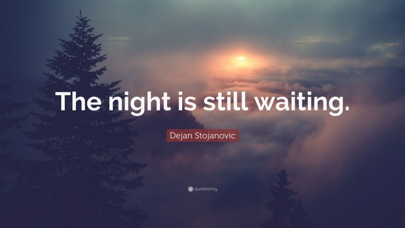 Dejan Stojanovic Quote: “The night is still waiting.”