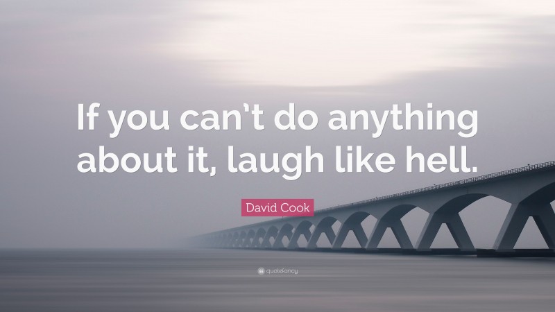 David Cook Quote: “If you can’t do anything about it, laugh like hell.”
