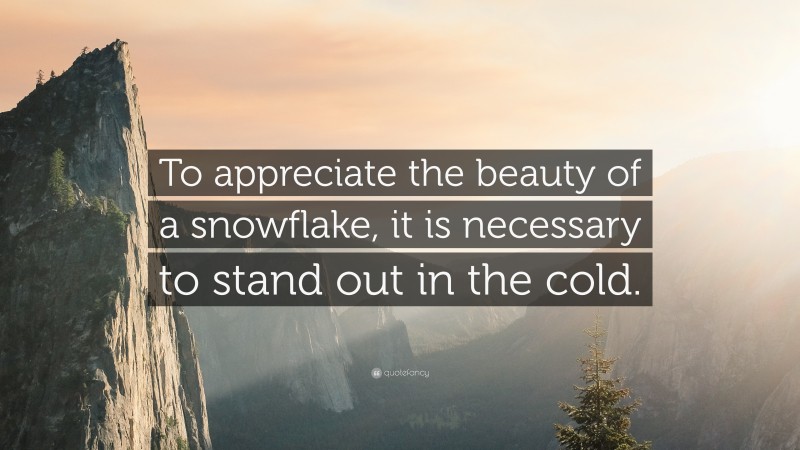 “To appreciate the beauty of a snowflake, it is necessary to stand out in the cold.” — Desktop Wallpaper