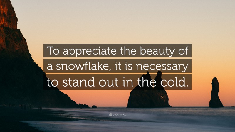 “To appreciate the beauty of a snowflake, it is necessary to stand out in the cold.” — Desktop Wallpaper