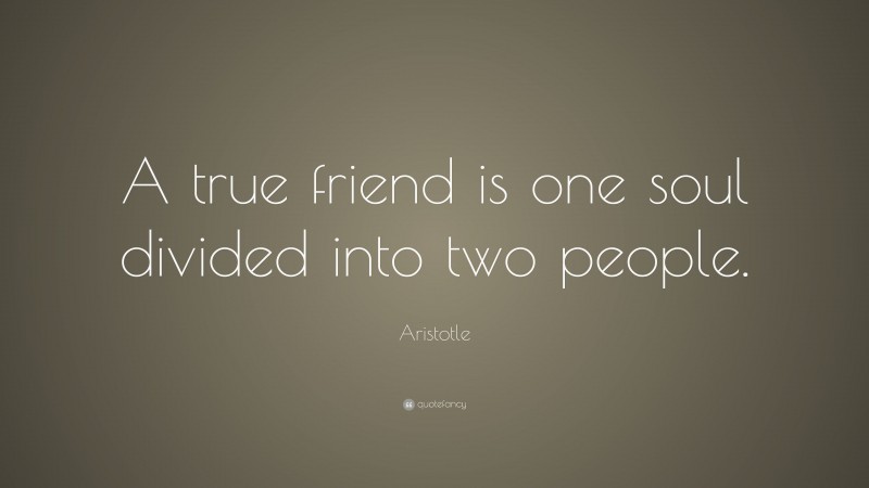 Aristotle Quote: “A true friend is one soul divided into two people.”