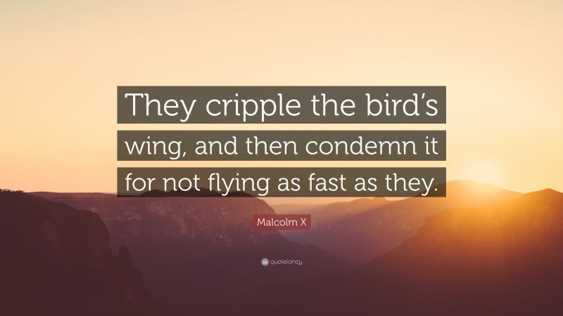 Malcolm X Quote: “They cripple the bird’s wing, and then condemn it for not flying as fast as they.”