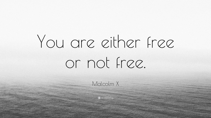 Malcolm X Quote: “You are either free or not free.”