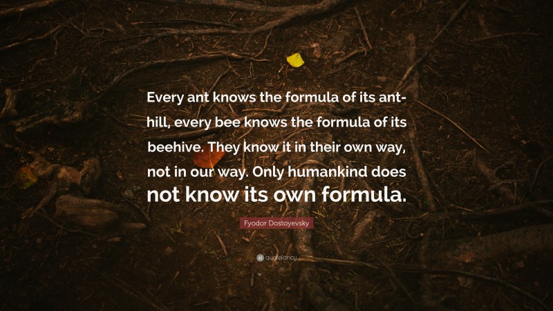 Fyodor Dostoyevsky Quote: “Every ant knows the formula of its ant-hill, every bee knows the formula of its beehive. They know it in their own way, not in our way. Only humankind does not know its own formula.”