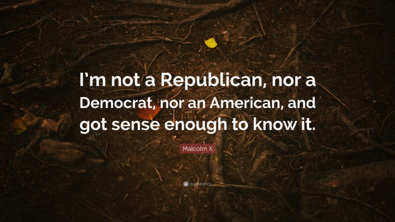 Malcolm X Quote: “I’m not a Republican, nor a Democrat, nor an American, and got sense enough to know it.”