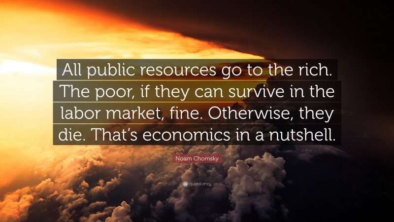 Noam Chomsky Quote: “All public resources go to the rich. The poor, if they can survive in the labor market, fine. Otherwise, they die. That’s economics in a nutshell.”